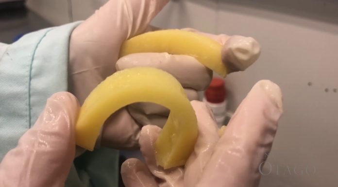 New Zealand Researchers Use PEF to Make French Fries Healthier, Processing More Efficient PEF French fries