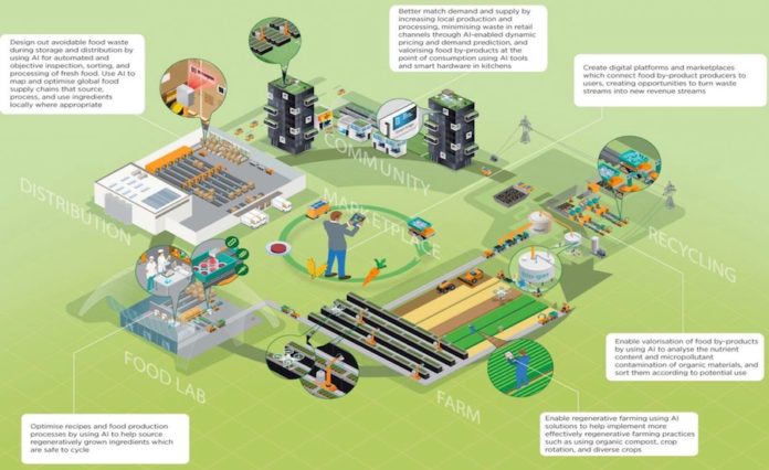 Using Ai To Create A Circular Food Economy Food Industry Executive 6279