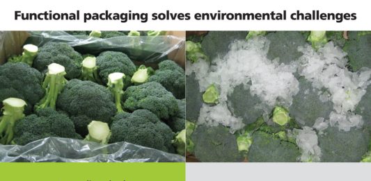 Broccoli Packaging