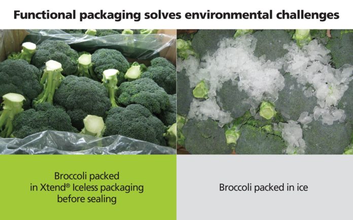 Broccoli Packaging