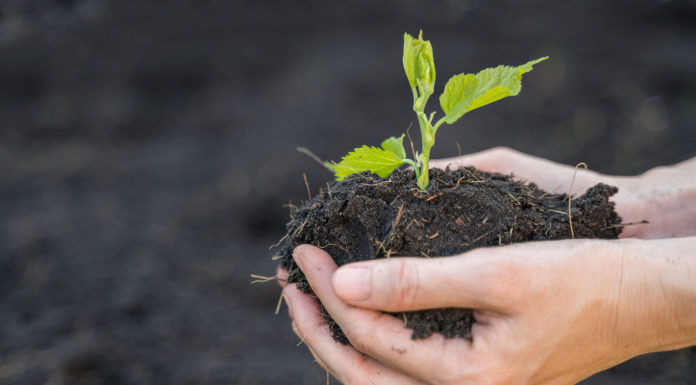 Turning Packaging Waste into Plant Food