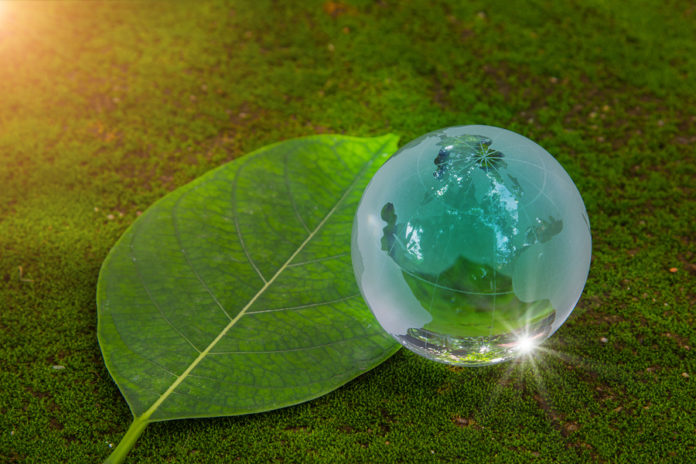 A Leaf and Glittering Globe