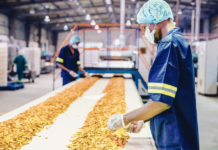Staffing Flexibility: The Secret Ingredient for Success in Food and Beverage Manufacturing