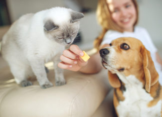 Pet Treat Trends: Snacking Isn’t Just for Humans Anymore