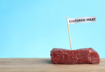 Consumers Weigh in on Lab-Grown Meat