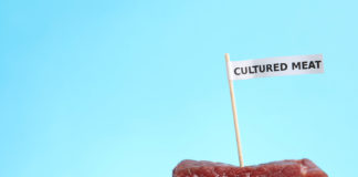 Consumers Weigh in on Lab-Grown Meat