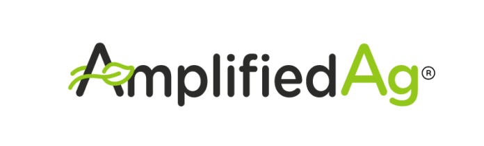 Amplified Primary logo