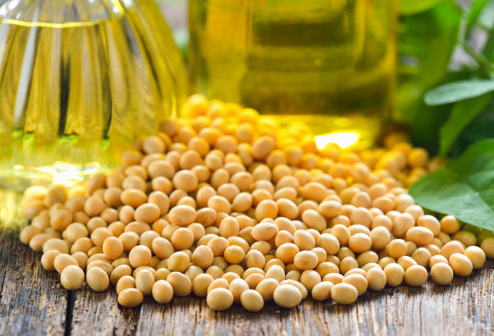 soyleic soy beans and oil