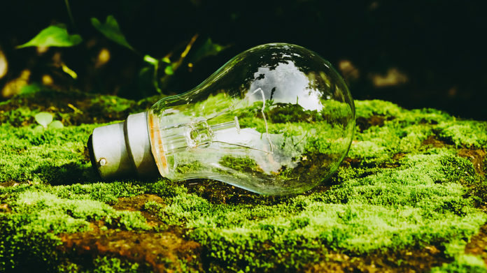 A Fluorescent Light Bulb In Sunlight On Green Nature Background.