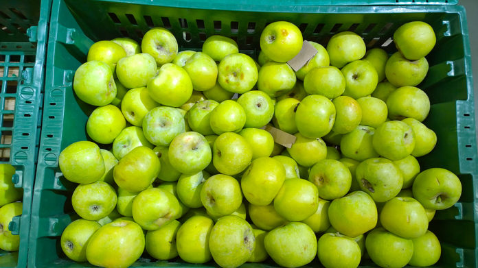 Pile Of Green Apples Background In Box. Grocery Store. Shelves W