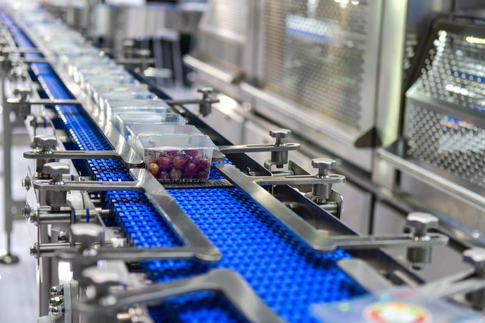 Food Products Boxs Transfer On Automated Conveyor Systems Indust