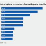 Food and Conflict: Demands for Corporate Accountability Are Growing Ukrainian-Wheat-Exports