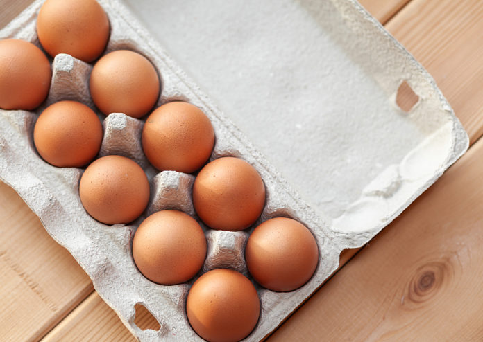 A Few Brown Eggs Among The Cells Of A Large Cardboard Bag, A Chi