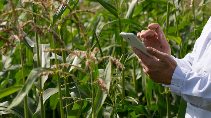 Boost Your Farming Efficiency: Agritech's Impact on Crop Yield and Waste Reduction.