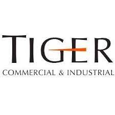 tiger group logo