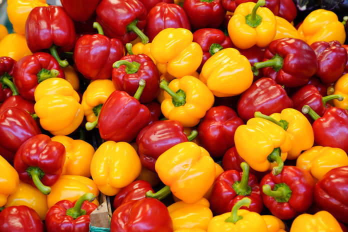 Pepper Freshness Group Of Little Yellow And Red Peppers Backgrou