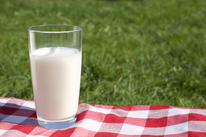 Glass Of Fresh Milk On Checkered Blanket Outdoors. Space For Tex