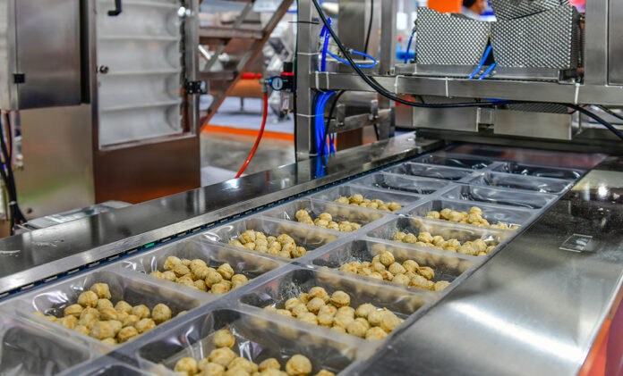 Many Meatballs Food Production Line On Conveyor Belt Equipment M