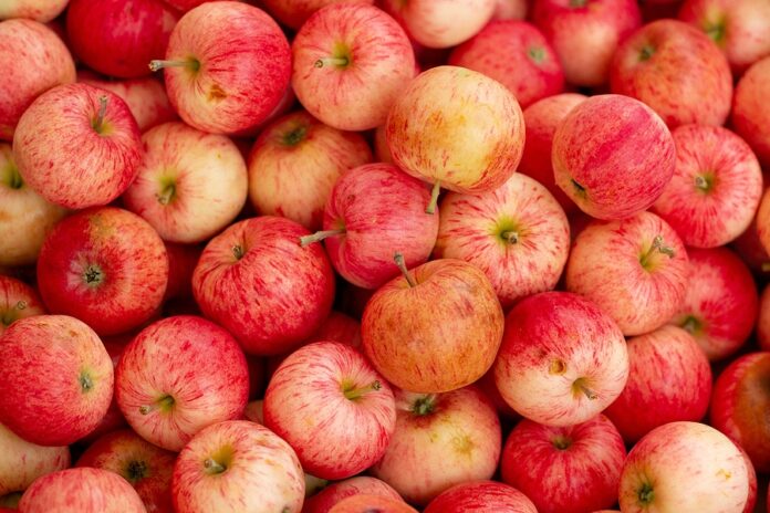Tasty And Delicious Red Apples Fresh And Healthy Food Group Of R