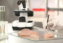 Food Outbreak Preparedness Should Be an Executive Priority Scientist Inspecting Meat Sample In Laboratory, Closeup. Food Qu