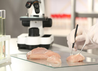 Food Outbreak Preparedness Should Be an Executive Priority Scientist Inspecting Meat Sample In Laboratory, Closeup. Food Qu