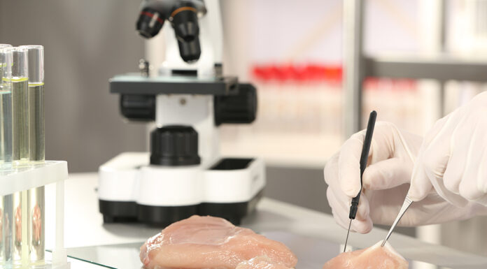 Food Outbreak Preparedness Should Be an Executive Priority Scientist Inspecting Meat Sample In Laboratory, Closeup. Food Qu
