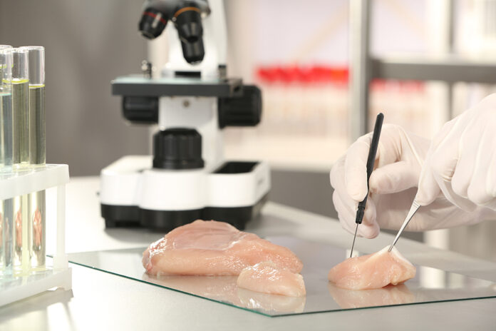 Scientist Inspecting Meat Sample In Laboratory, Closeup. Food Qu