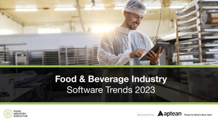 FIE - Industry Report - Software Survey 2023