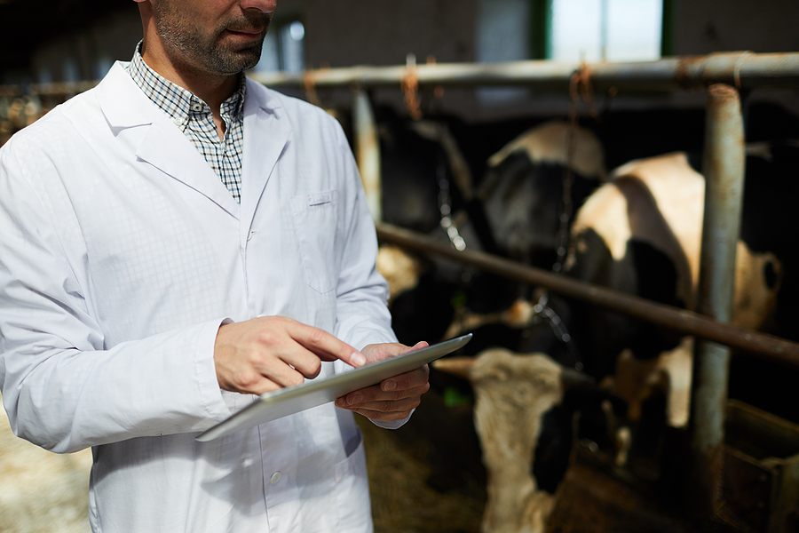 Mid section portrait of unrecognizable farm worker wearing lab c