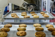 How Are Food Processors Faring in 2026? Robot Arm Preparing Cookies For The Oven In Production Line Fact