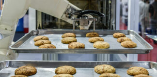 How Are Food Processors Faring in 2026? Robot Arm Preparing Cookies For The Oven In Production Line Fact