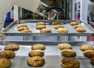Food Plants Haven’t Run This Empty Since 2021. And a New Line Won’t Fix It. Robot Arm Preparing Cookies For The Oven In Production Line Fact