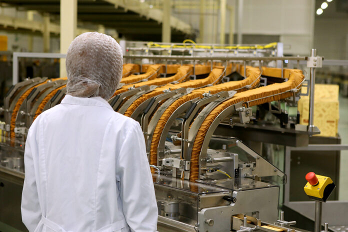 A Woman Controls The Production Process. Large Biscuit Factory.