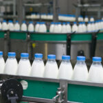 Navigating Dairy’s Difficulties: Leveraging ERP Solutions for Efficiency Dairy Plant.