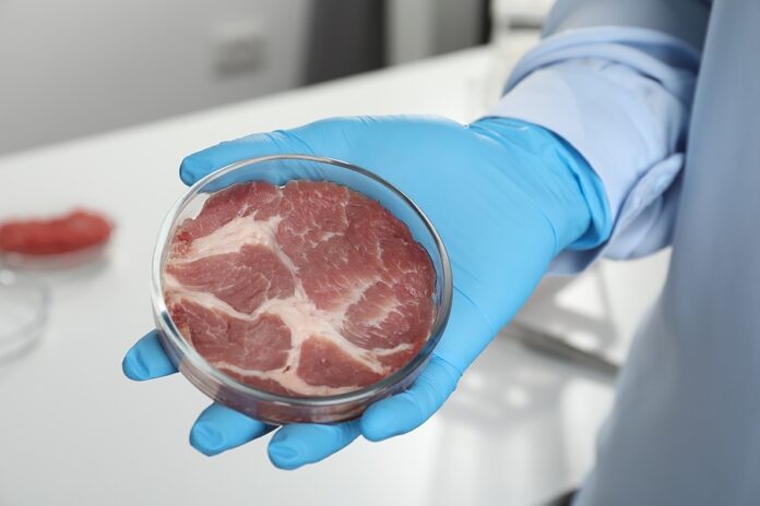 Scientist Holding Petri Dish With Cultured Meat In Laboratory, C