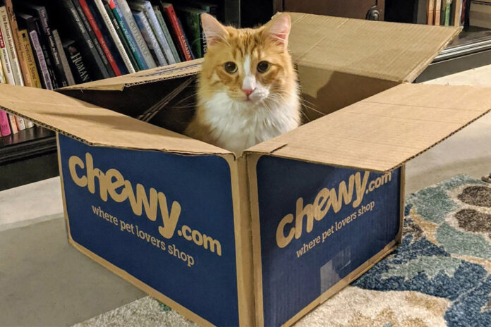 Cat in Chewy.com for WATT Global Media article