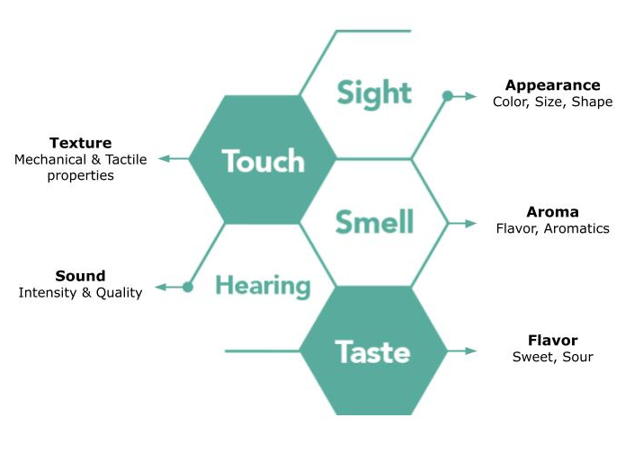 Sensory Analysis Chart Sensory Analysis Chart