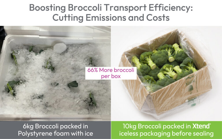 Rpc Container Broccoli A Greener Route for Broccoli - Food Industry Executive