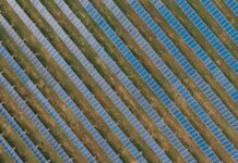 From Pilots to Production: Scaling Sustainable Tech in Food Manufacturing