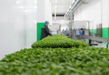 The Digital Passport: Why 2026 Is the Final Deadline for Automated Farm-to-Fork Traceability