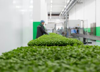 The Digital Passport: Why 2026 Is the Final Deadline for Automated Farm-to-Fork Traceability