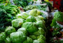 The FSMA 204 Countdown: What One Lettuce Recall Just Proved About Traceability Gaps