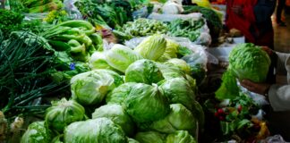 The FSMA 204 Countdown: What One Lettuce Recall Just Proved About Traceability Gaps