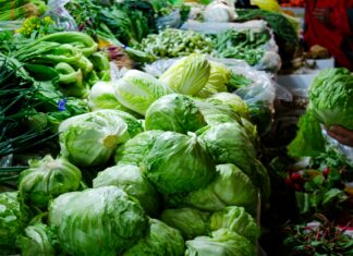 The FSMA 204 Countdown: What One Lettuce Recall Just Proved About Traceability Gaps